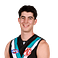 Dante Visentini