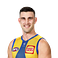 Elliot Yeo